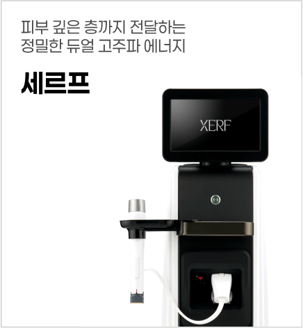 세르프