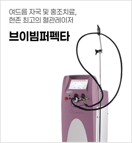 브이빔퍼펙타