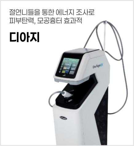 디아지
