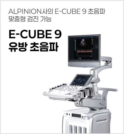 E-CUBE9유방초음파