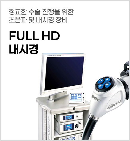 FULLHD내시경