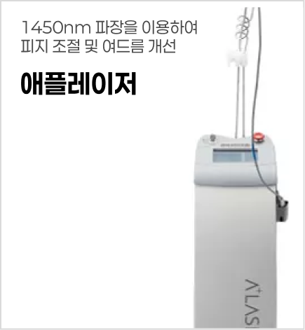 애플레이저
