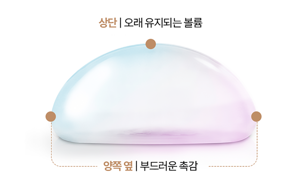 멘토 특징