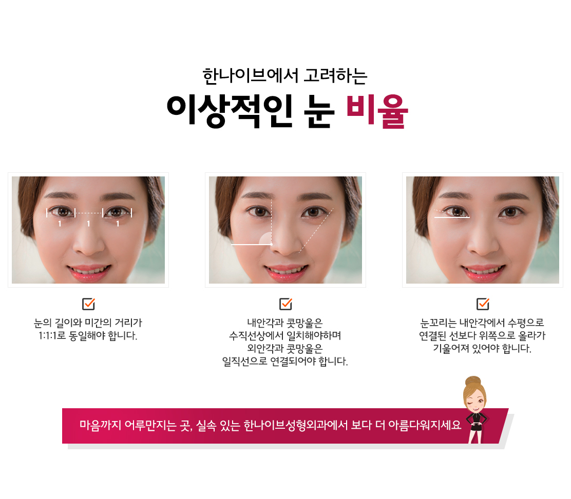 한나이브에서고려하는이상적인눈비율