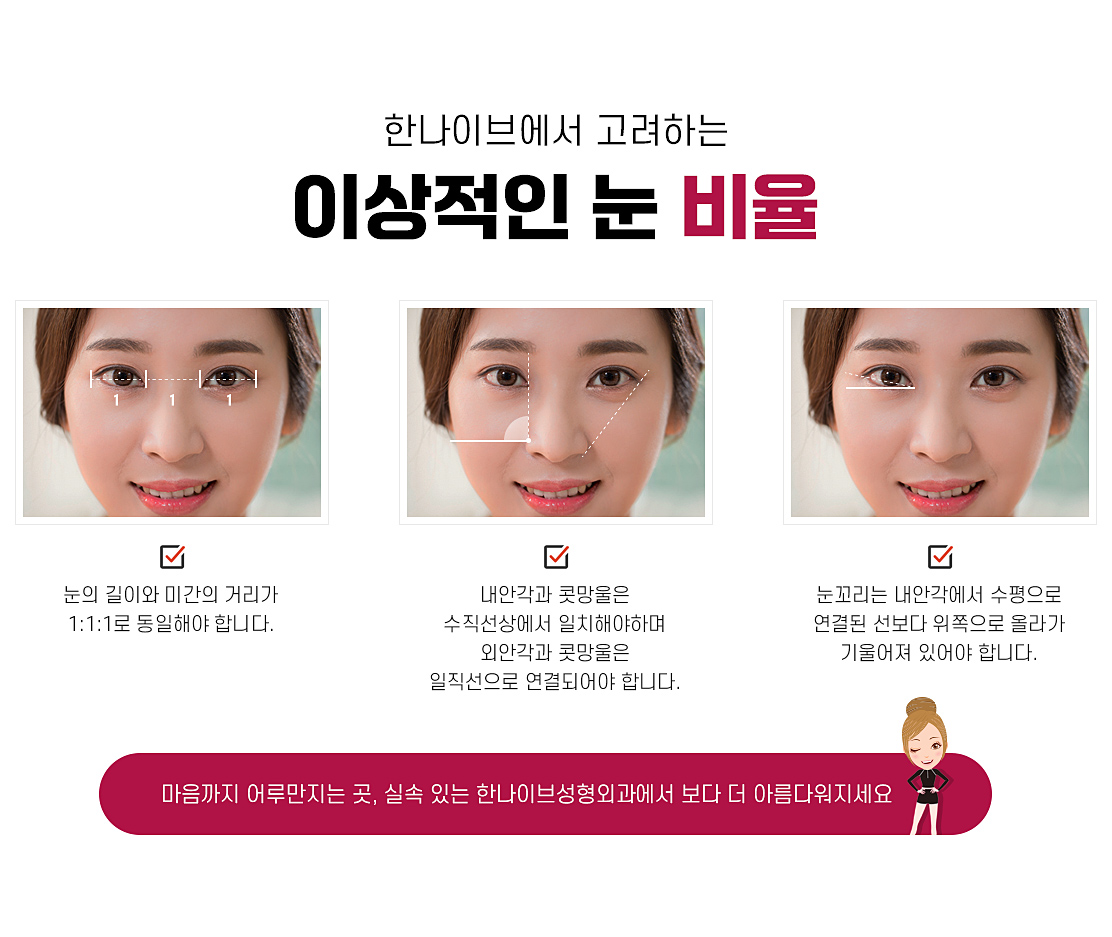 한나이브에서고려하는이상적인눈비율