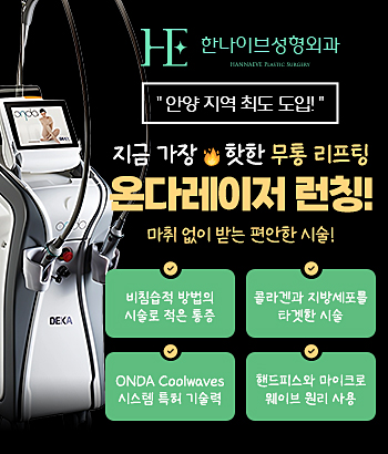온라리프팅