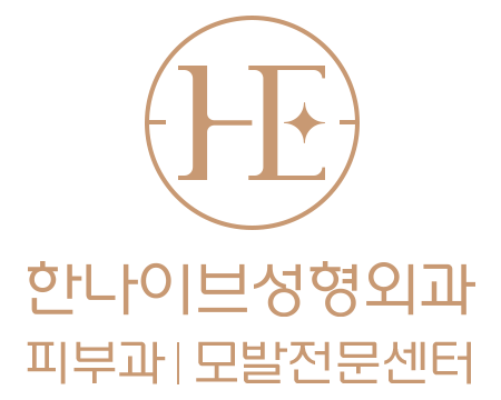 경기도 안양에 위치한 한나이브 성형외과 로고