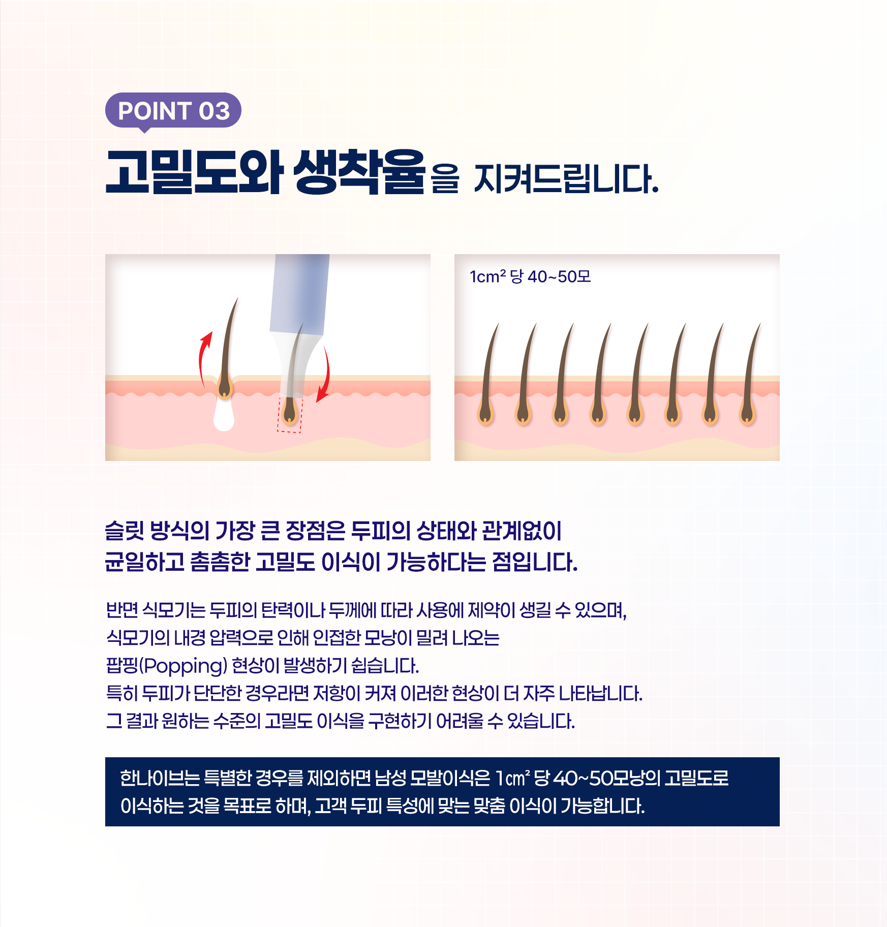 고밀도와생착율