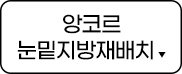 앙코르눈밑지방재배치