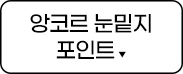 앙코르눈밑지 포인트