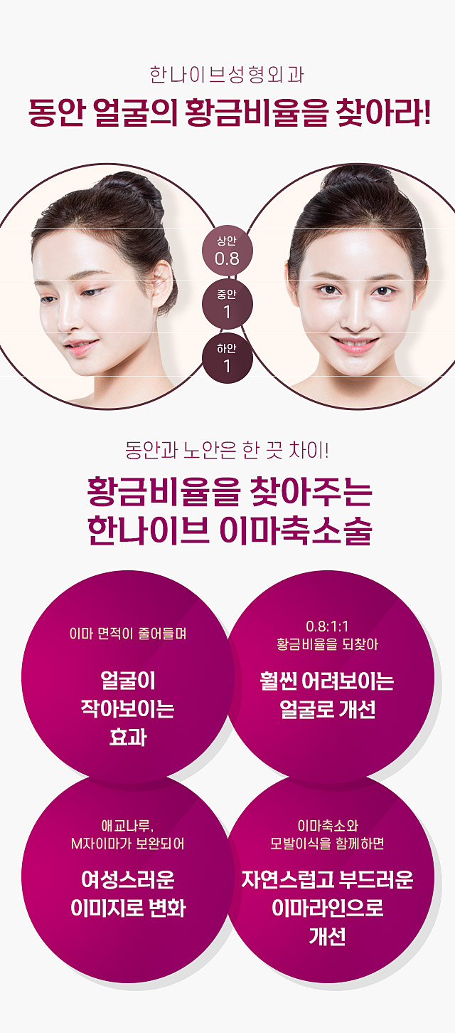 황금비율을찾아라